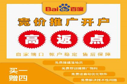 案例分析：SEM广告助力中小企业崛起