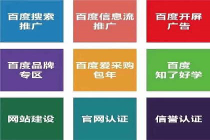 成功案例解析：SEO与SEM协同营销策略
